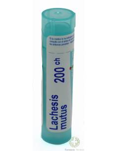 LACHESIS MUTUS BOIRON C200 GLOBULOS 1 ENVASE 4 g
