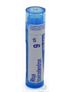RHUS TOXICODENDRON BOIRON C9 GLÓBULOS 1 EMBALAGEM 4 g