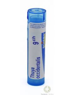 THUYA OCCIDENTALIS BOIRON C9 GLOBULOS 1 ENVASE 4 g