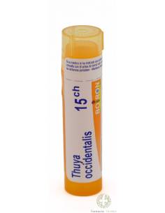 THUYA OCCIDENTALIS BOIRON C15 GLOBULOS 1 ENVASE 4 g