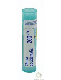 THUYA OCCIDENTALIS BOIRON C200 GLOBULOS 1 ENVASE 4 g