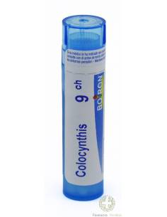 COLOCYNTHIS 9CH GRÂNULOS TUBO ÚNICO BOIRON alivia a dor...