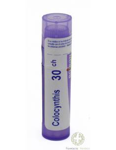 COLOCYNTHIS 30 CH GLOBULOS TUBO SIMPLE BOIRON