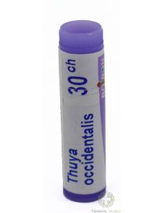 THUYA OCCIDENTALIS BOIRON C30 GLOBULOS 1 ENVASE UNIDOSIS 1 g