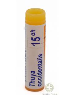 THUYA OCCIDENTALIS BOIRON C15 GLOBULOS 1 ENVASE UNIDOSIS 1 g