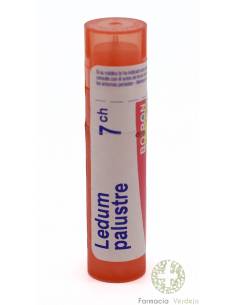 LEDUM PALUSTRE 7CH GRANULOS TUBO SIMPLE BOIRON Calma y...