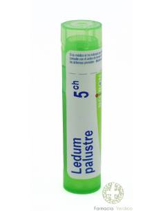 LEDUM PALUSTRE BOIRON C5 GLOBULOS 1 ENVASE 4 g