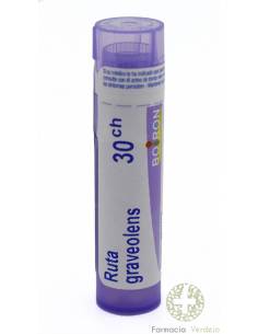 RUTA GRAVEOLENS BOIRON C30 GLOBULOS 1 ENVASE 4 g