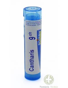 CANTHARIS 9 CH GRANULOS TUBO SIMPLE BOIRON