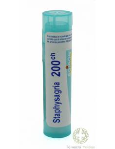 STAPHYSAGRIA 200CH GRANULOS TUBO SIMPLE BOIRON
