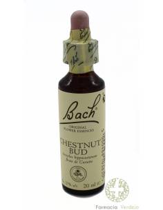 BACH CHESNUT BUD ORIGINAL BACH 20ML Aprendendo com os erros